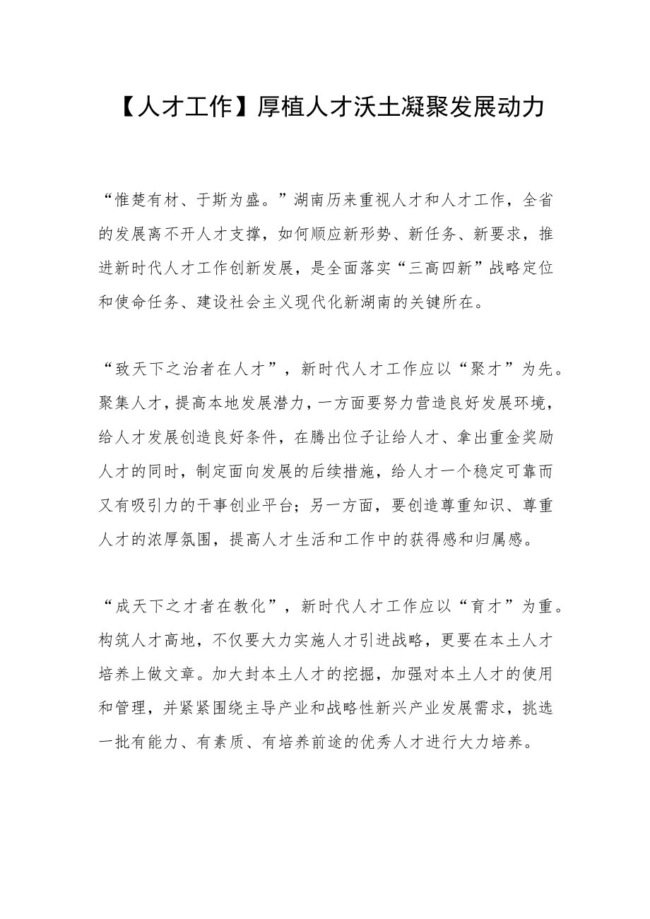 【人才工作】厚植人才沃土 凝聚发展动力.docx_第1页