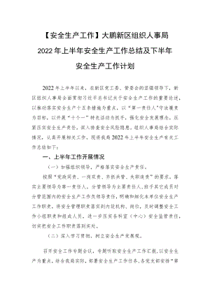 【安全生产工作】大鹏新区组织人事局2022上半安全生产工作总结及下半安全生产工作计划.docx