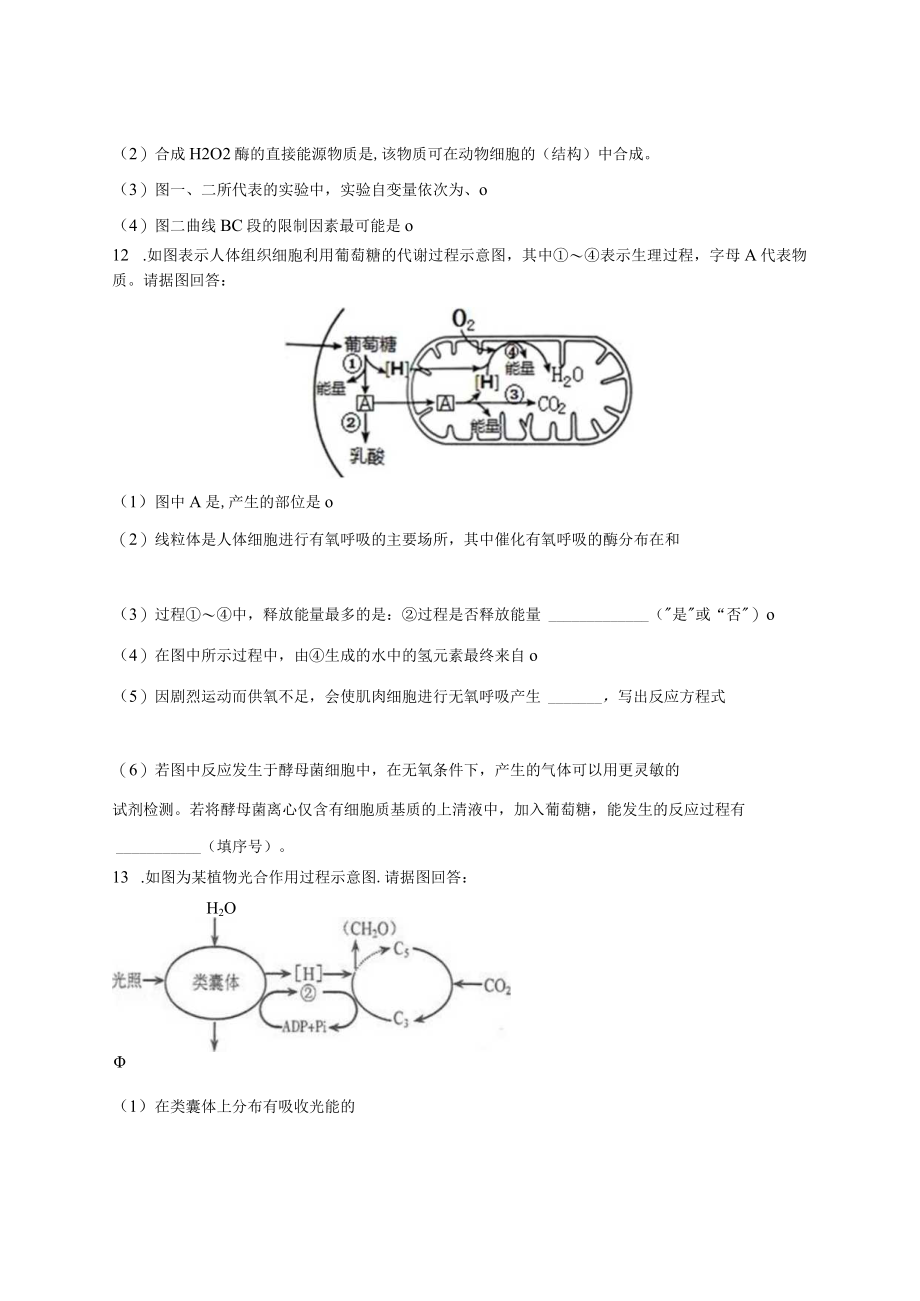 《分子与细胞》第五章测试卷（一）.docx_第3页