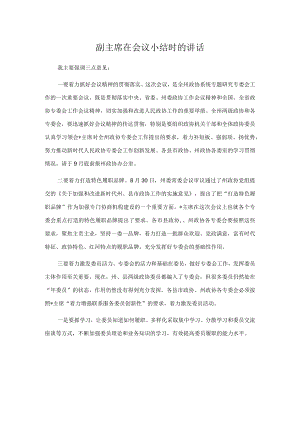 副主席在会议小结时的讲话.docx
