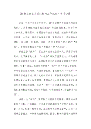 《纪检监察机关派驻机构工作规则》学习心得.docx