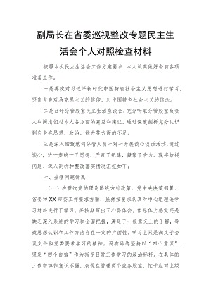 副局长在省委巡视整改专题民主生活会个人对照检查材料.docx