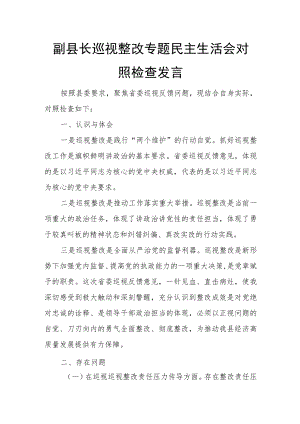 副县长巡视整改专题民主生活会对照检查发言2.docx