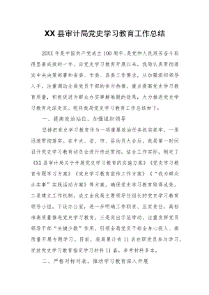 XX县审计局党史学习教育工作总结.docx