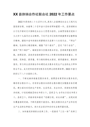 XX县供销合作社联合社2022工作要点.docx