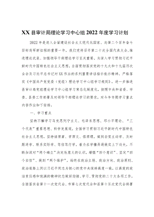 XX县审计局理论学习中心组2022学习计划.docx