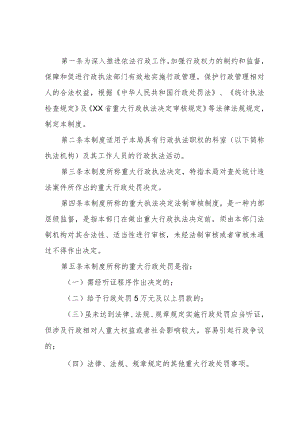 XX区统计局重大行政执法决定法制审核制度.docx