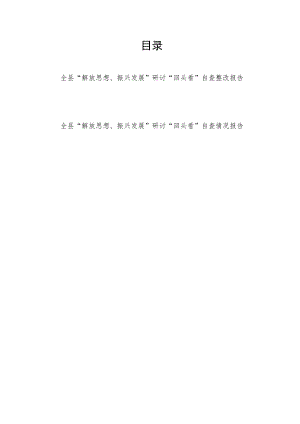 2022“解放思想、振兴发展”研讨“回头看”自查情况整改报告2篇.docx