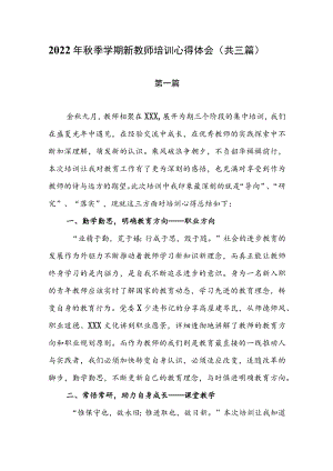 2022季学期新教师培训心得体会 （共三篇）.docx