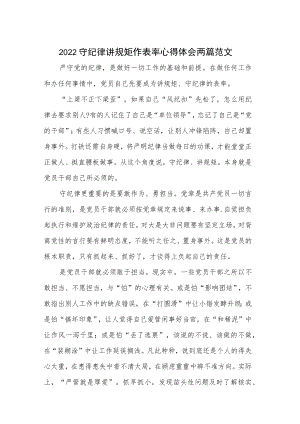 2022守纪律讲规矩作表率心得体会两篇范文.docx