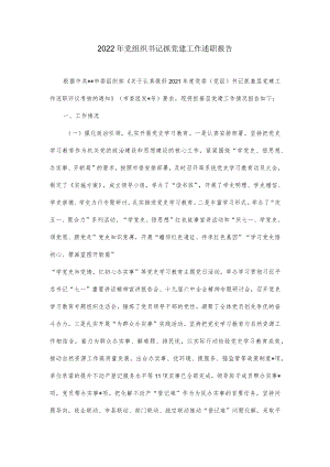 2022党组织书记抓党建工作述职报告.docx
