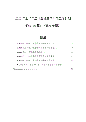 2022上半工作总结及下半工作计划汇编（6篇）（镇乡专题）.docx