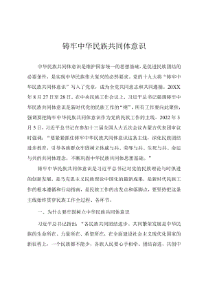 2022书记讲党课《铸牢中华民族共同体意识》.docx