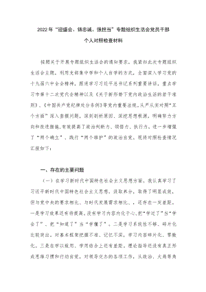 2022党员干部“迎盛会、铸忠诚、强担当”专题组织生活会个人对照检查材料.docx