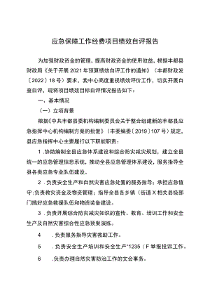 应急保障工作经费项目绩效自评报告.docx