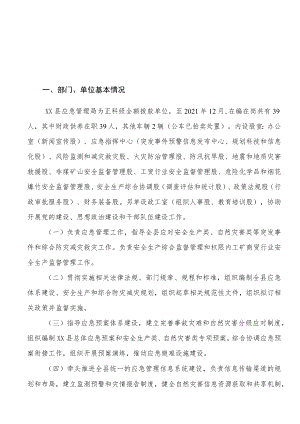 部门整体支出绩效自评报告.docx