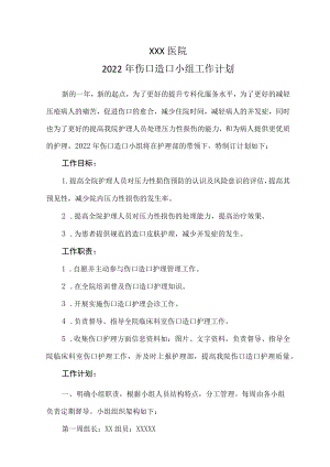2022伤口造口护理小组工作计划.docx