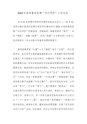 2022县级基层党建“书记项目”工作总结.docx