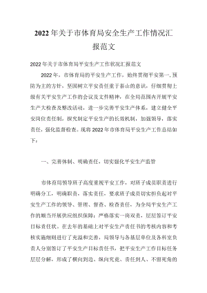 2022关于市体育局安全生产工作情况汇报范文.docx