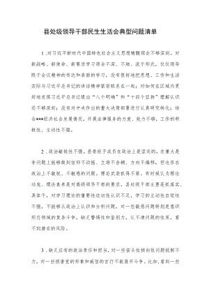 2022县处级领导干部民生生活会典型问题清单.docx