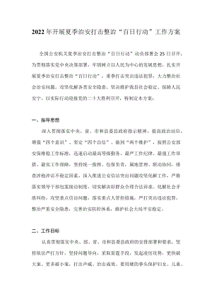 2022夏季治安打击整治“百日行动”工作方案及总结.docx