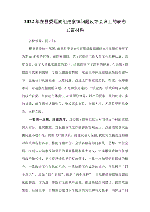 2022在县委巡察组巡察镇问题反馈会议上的表态发言材料.docx