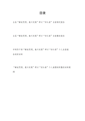 2022单位“解放思想、振兴发展”研讨“回头看”自查情况报告和个人查摆对照检查剖析材料汇编.docx