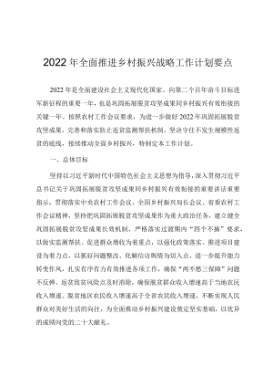2022全面推进乡村振兴战略工作计划要点.docx