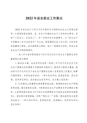 2022县安委会工作要点.docx