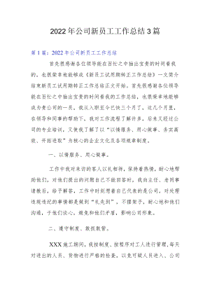 2022公司新员工工作总结3篇.docx