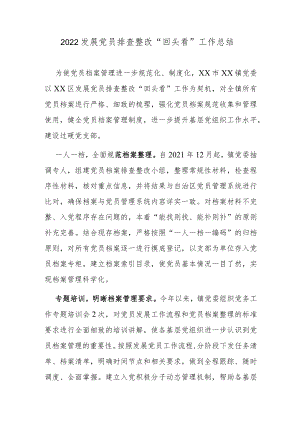 2022发展党员排查整改“回头看”工作总结.docx