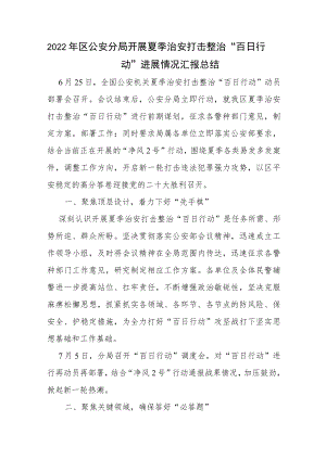 2022区公安分局开展夏季治安打击整治“百日行动”进展情况汇报总结.docx