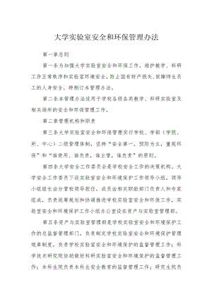 大学实验室安全和环保管理办法.docx