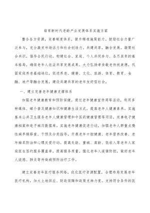 培育新时代老龄产业发展体系实施方案.docx