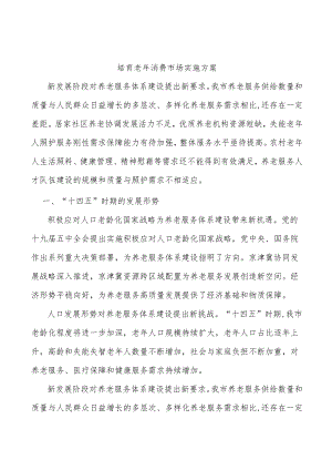 培育老消费市场实施方案.docx