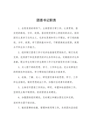 大学团委书记职责.docx