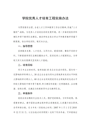 大学学院优秀人才培育工程实施办法.docx