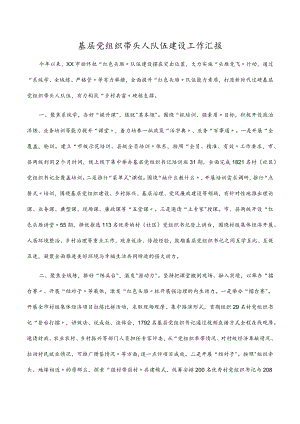 基层党组织带头人队伍建设工作汇报.docx
