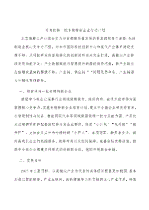 培育扶持一批专精特新企业行动计划.docx