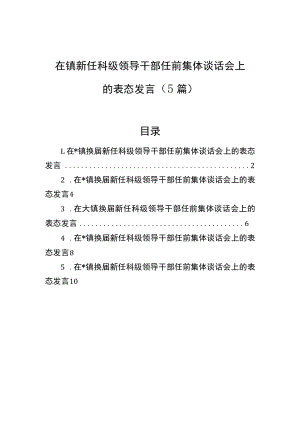 在镇新任科级领导干部任前集体谈话会上的表态发言（5篇）(1).docx