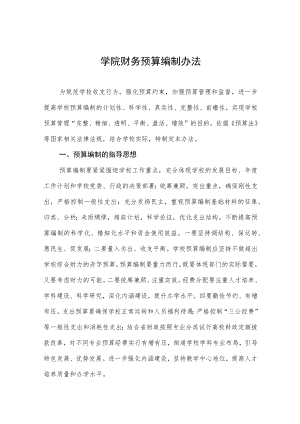 大学学院财务预算编制办法.docx