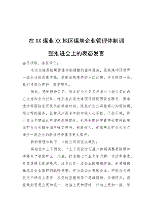 在XX煤业XX地区煤炭企业管理体制调整推进会上的表态发言.docx
