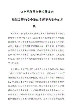坚定不移贯彻新发展理念.docx
