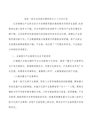 培养一批专业技能过硬的技术工人行动计划.docx