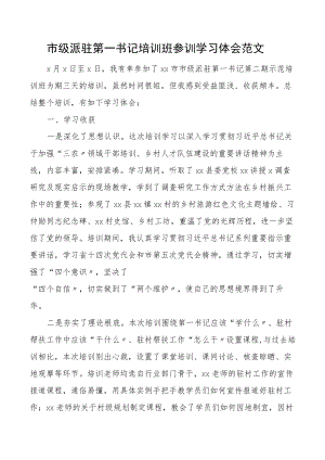 培训心得市级派驻第一书记培训班参训学习心得体会研讨发言材料市派.docx