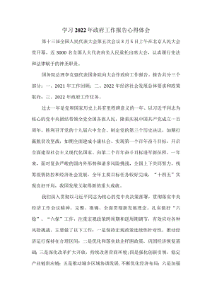 学习2022政府工作报告心得体会三.docx