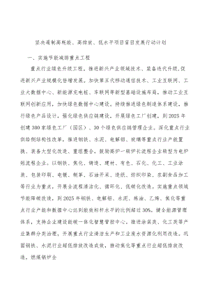 坚决遏制高耗能、高排放、低水平项目盲目发展行动计划.docx