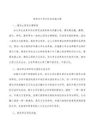 培养壮大考古队伍实施方案.docx