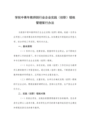 大学学院中青教师到行业企业实践（挂职）锻炼管理暂行办法.docx