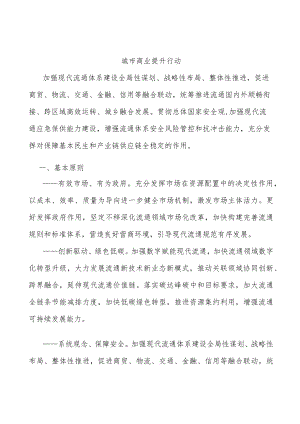 城市商业提升行动.docx